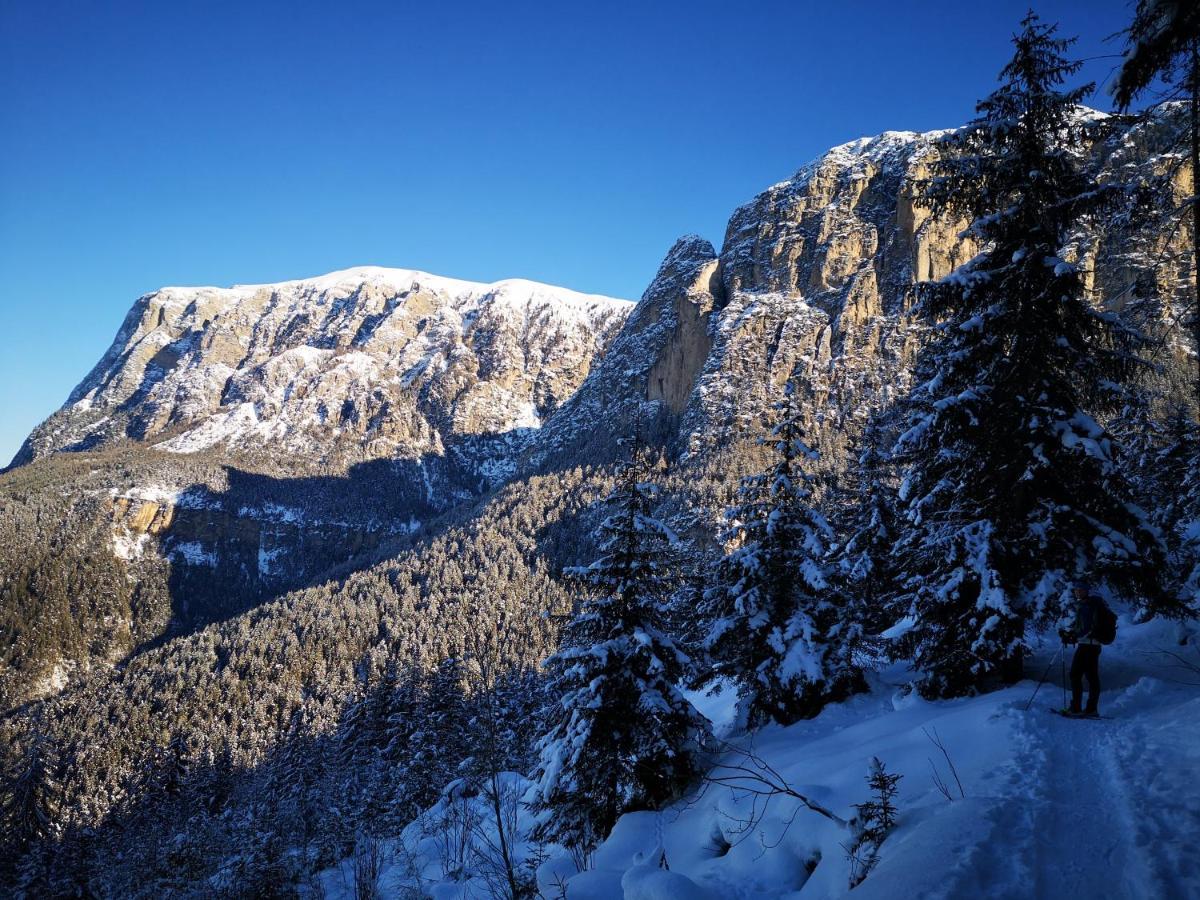 Schlossblick فِيي المظهر الخارجي الصورة