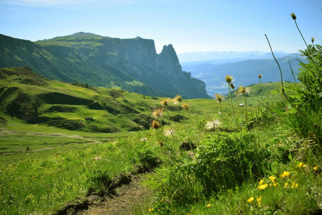 Schlossblick فِيي المظهر الخارجي الصورة